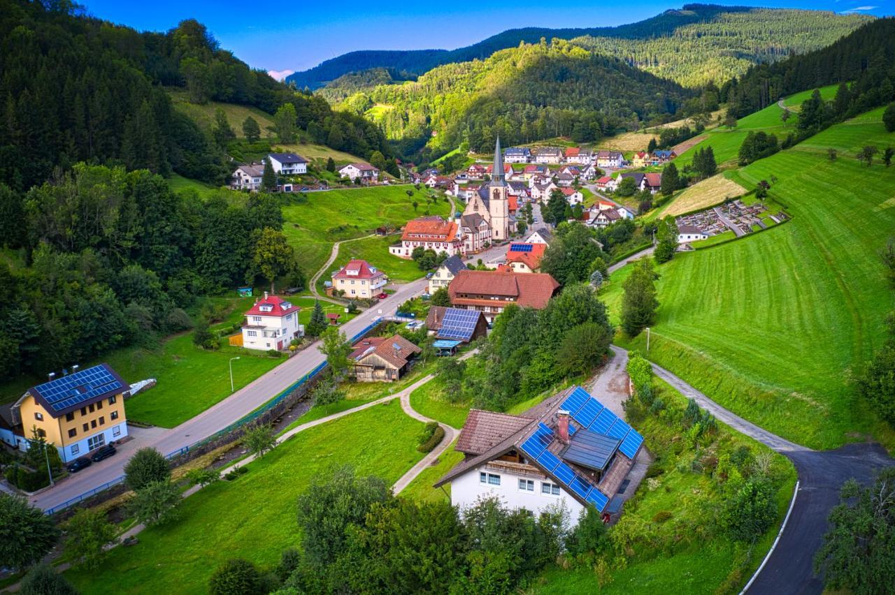 Steepleview House, Schwarzwaldblick Apartment - Spacious & Peaceful Bad Peterstal-Griesbach Exteriör bild